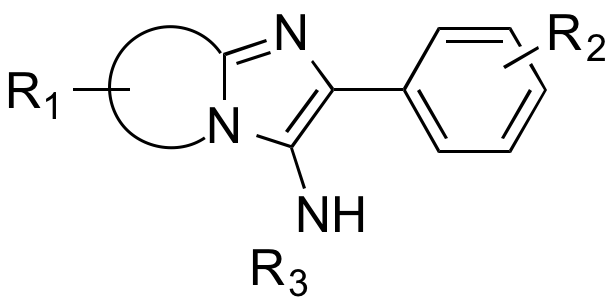 Enlarged view: imidazo